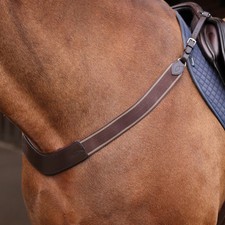 Shires Velociti Rapida Elastic