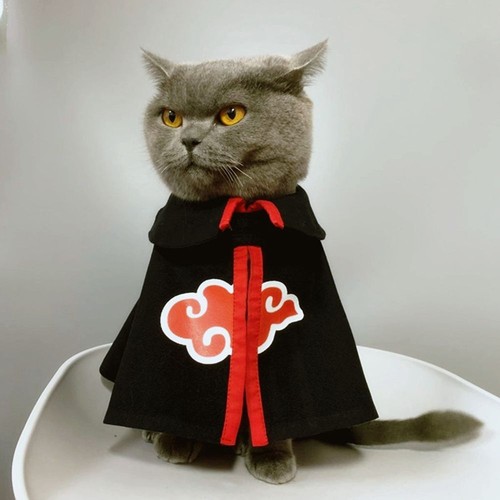 Cosplay costume small dog - costume,