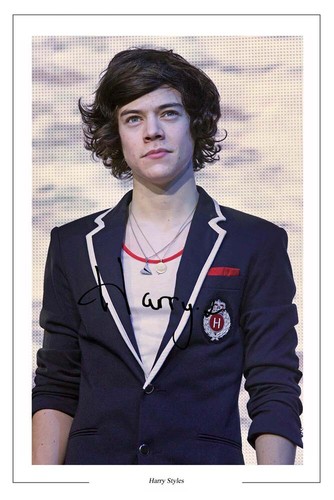Harry styles signed photo - signed,