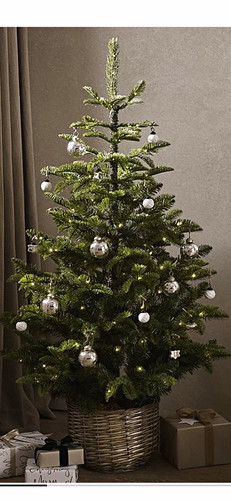The white company - the,
