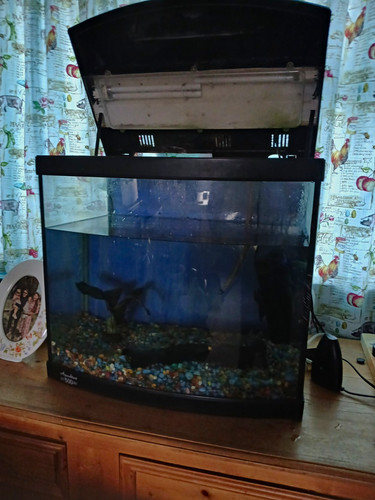 Aqua one aquastart - one,