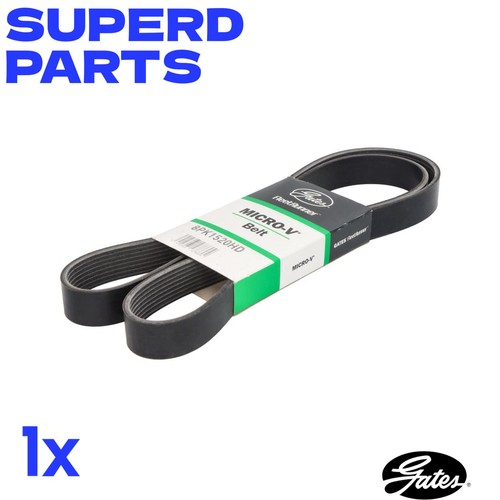 Ribbed belt b00ajvw47m for - b00ajvw47m,