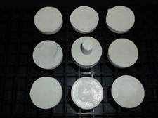 1 1/2" Coral Frag Plug 10 Pack