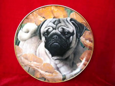 Danbury Mint Pug Plate Dog Puppy Poppy Love With 9ct Gold Rim 8" (20cm) Diameter