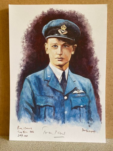 Portrait tom neil - neil, dfc
