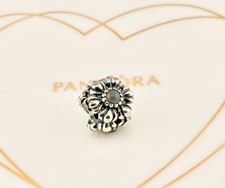 Limited Edition Pandora June