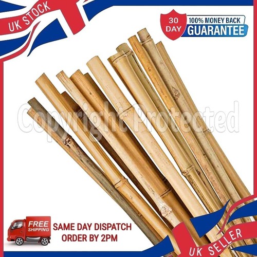 Ten 90cm 3ft natural - 90cm,