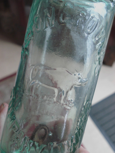 Nice 10oz patent codd - 10oz, bottle