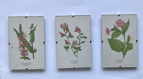 Set three x - three, 4”