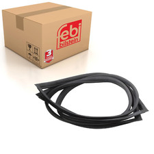 Windshield Weatherstrip Fits