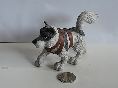 Joe husky rescue dog - joe,