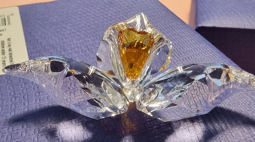 Swarovski 2018 scs members - 2018,