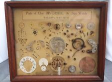 Antique Parts of a  Waltham Riverside 16 Size Watch Shop Display Case