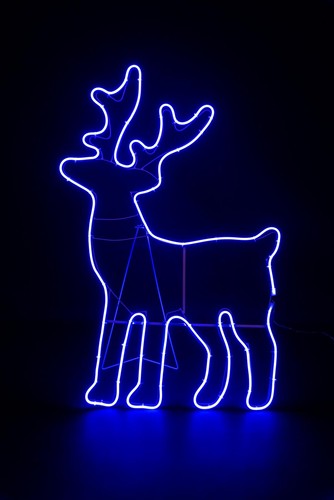 Christmas neon rope light - neon,