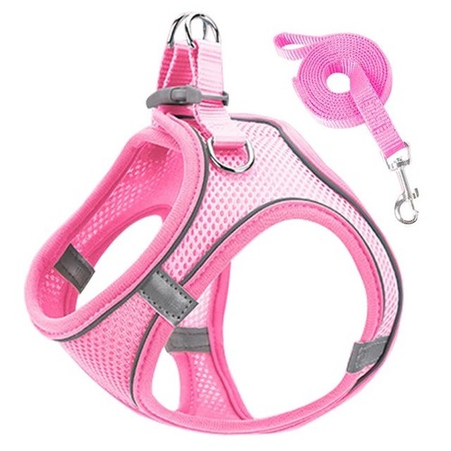 Everyday dog harness - everyday,