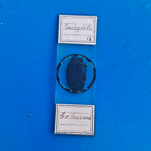 Microscope specimen slide - microscope,