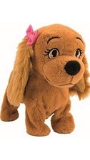 Lucy The Dog  - Amazing