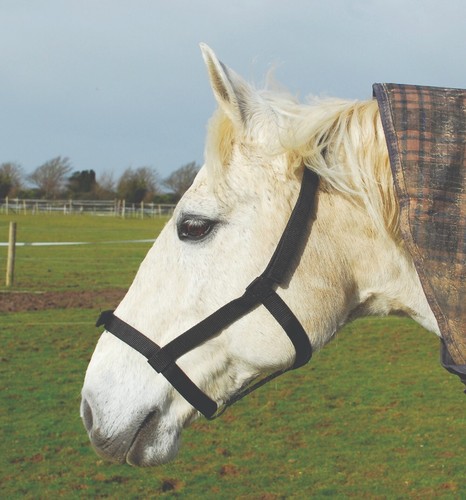 Horse rhinegold field safe - field,