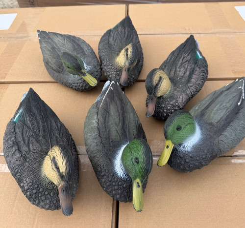 Set teal style decoy - set,