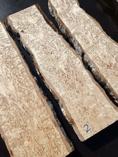 CURLY MASUR / KARELIAN BIRCH