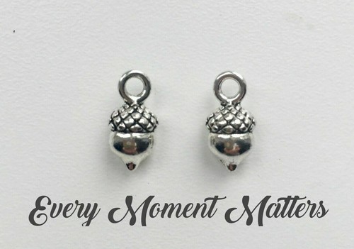 Tibetan silver acorn nut - 10,