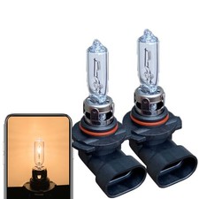 Hb3 12V  9005 Halogen