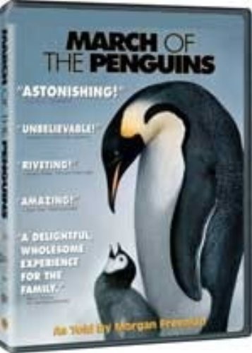 March the penguins sealed - penguins,