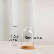 Everlasting Flower Glass