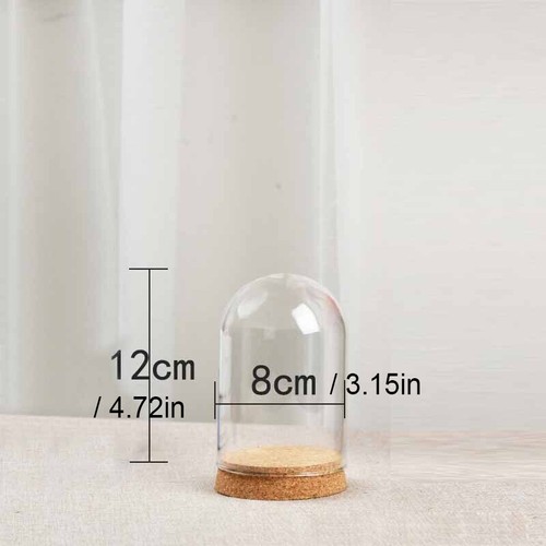 Everlasting flower glass - flower,
