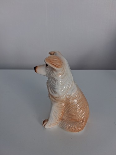 1960s border collie - border, collie/rough