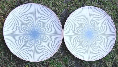 Sainsburys home dinner plates - home,