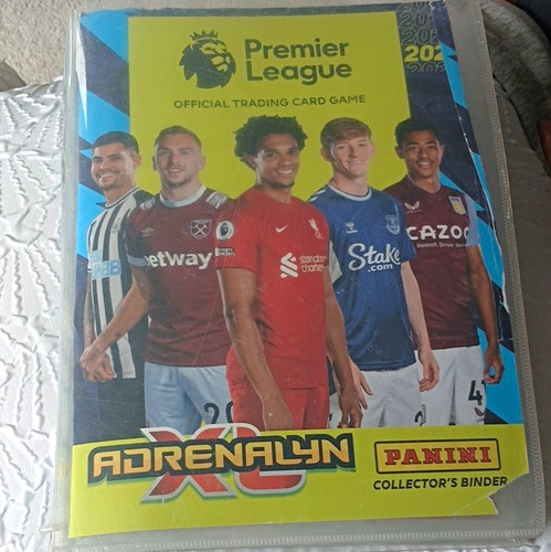 Panini premier league - premier,