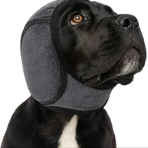 Noise canceling pet - noise-canceling,