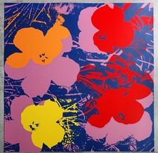 Flowers Poppy Series Sunday B