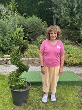 1 Ilex Crenata Spiral Evergreen Topiary plant