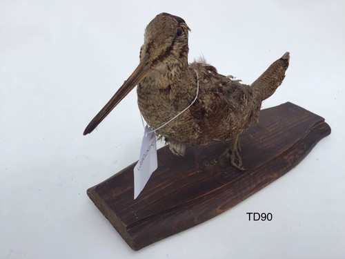 Td90 woodcock wooden - td90,