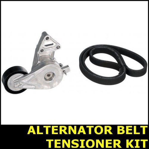 Ribbed belt tensioner - tensioner, fits