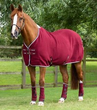 Premier Equine PremTex Horse