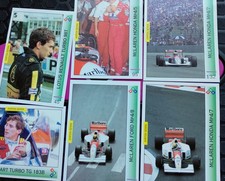 Ayrton Senna Collectible