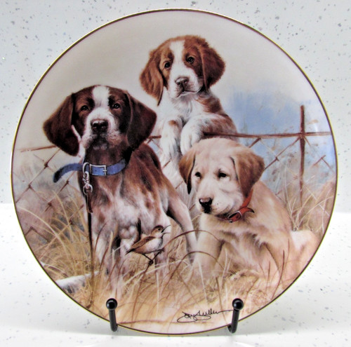 Franklin mint collectors plate - collectors,