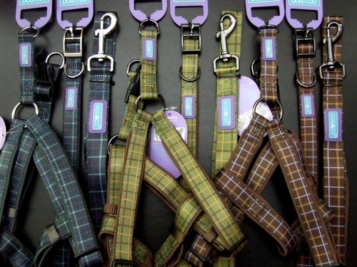 Padded dog hem and boo - co,