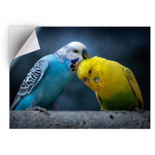 Vinyl sticker cute budgie - 1x,
