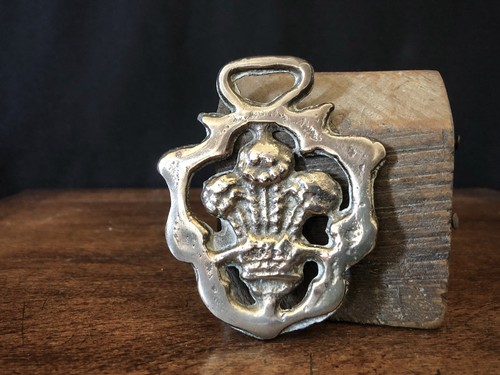 Horse brass prince wales - brass:,