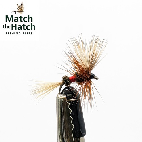 Royal wulff dry fly - dry,