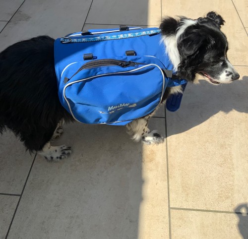 Manmat dog saddle - dog, backpack