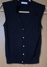 Ladies V Neck Knitted Button