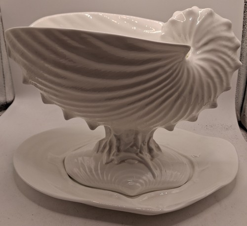 Vintage nautilus white - vintage, shell