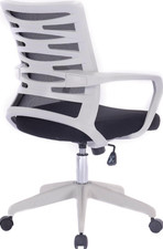 Designer Gaming Home office