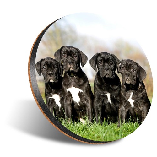 Round coaster 12cm cane - round,