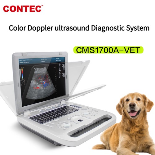 Laptop veterinary color - laptop,